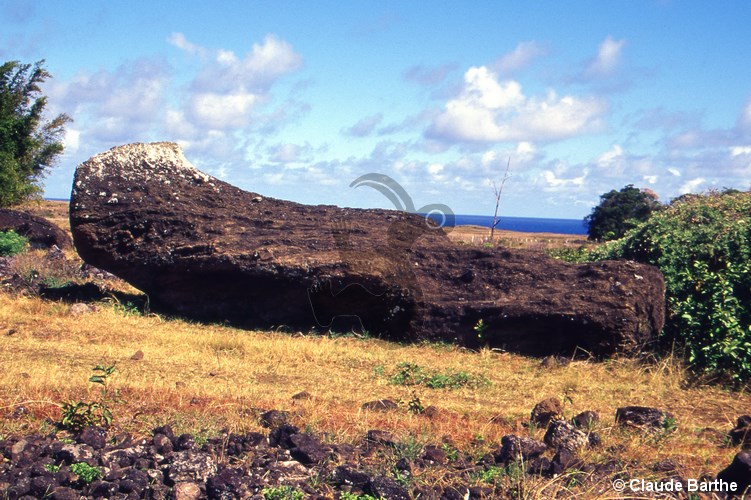 image15
