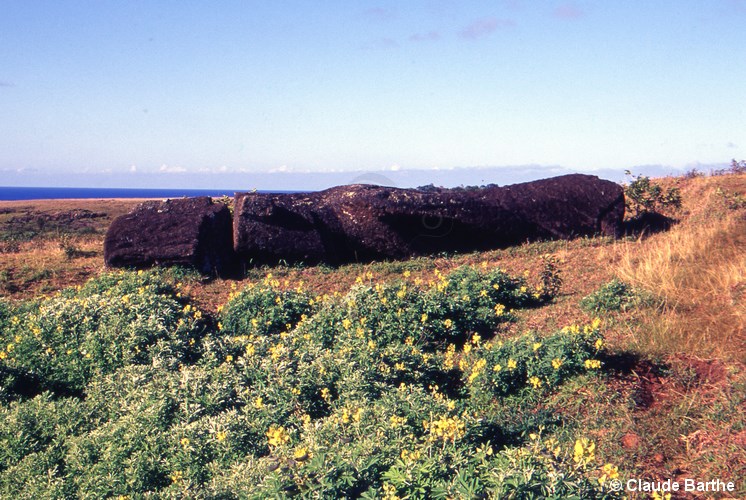 image20