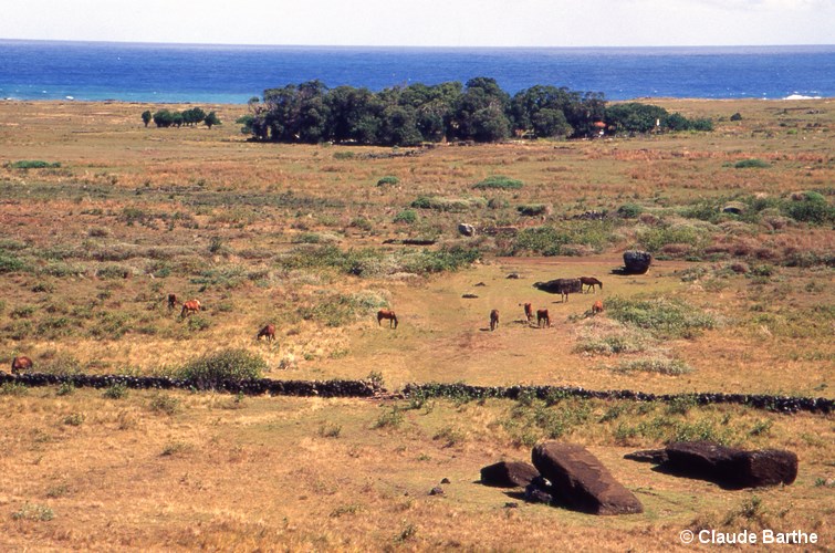 image02