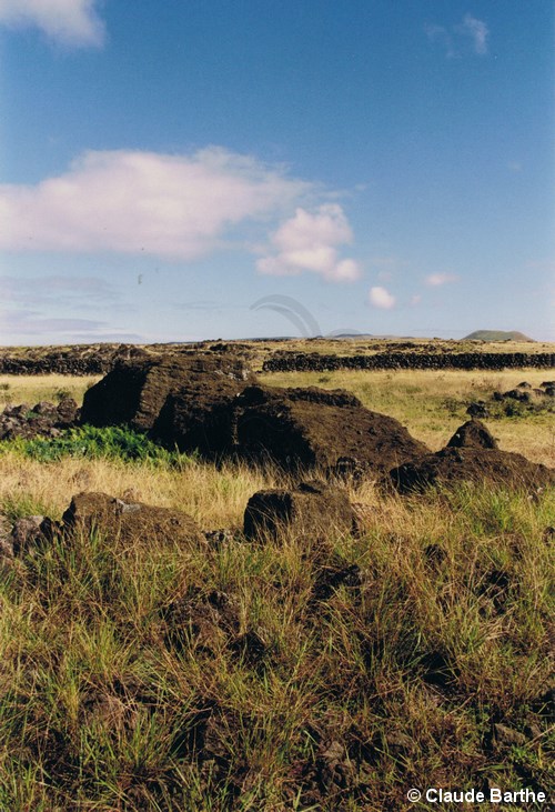 image25