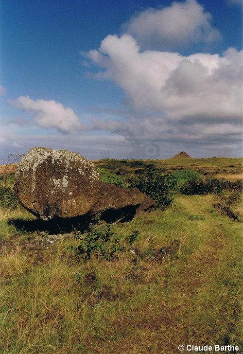 image24