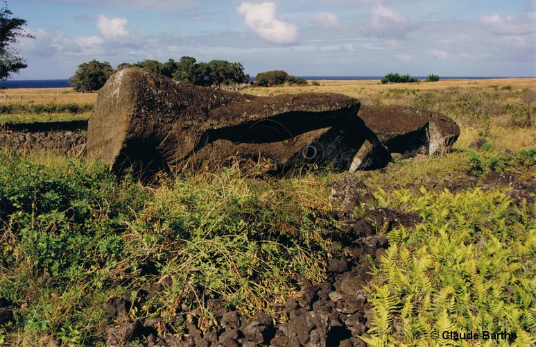 image17