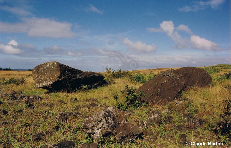 image13
