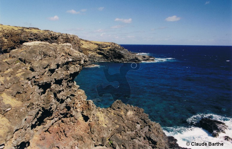 image10