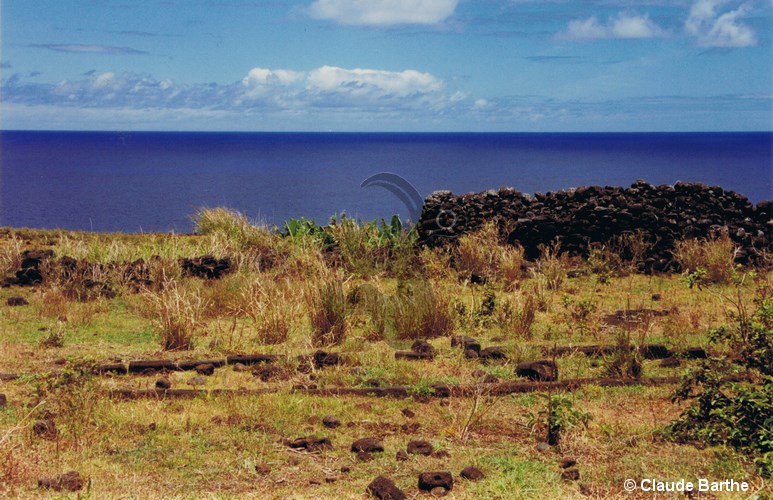 image11
