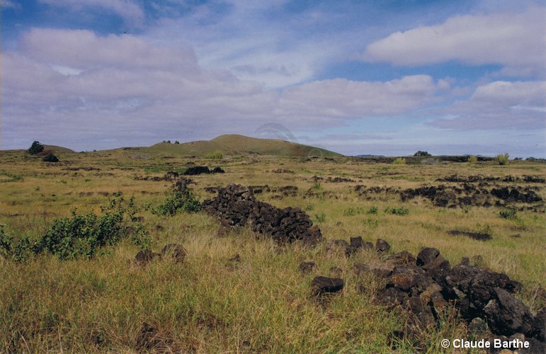 image03