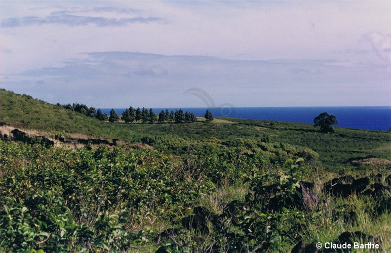 image04