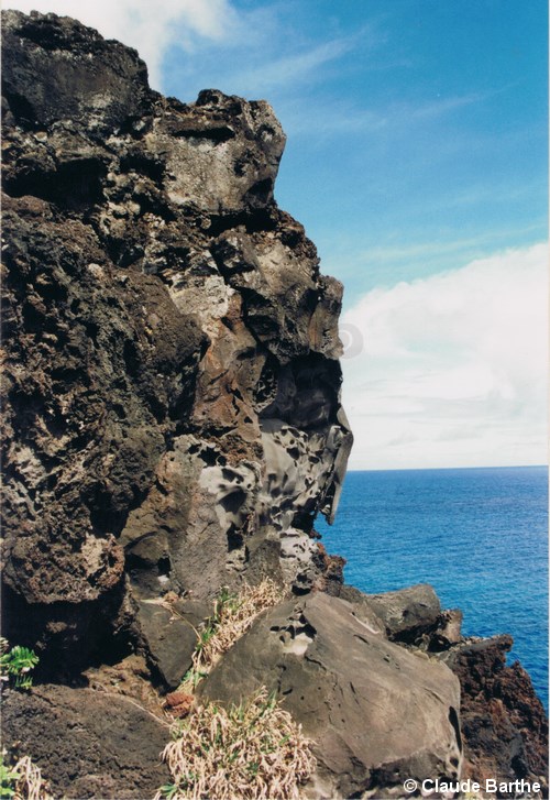 image05