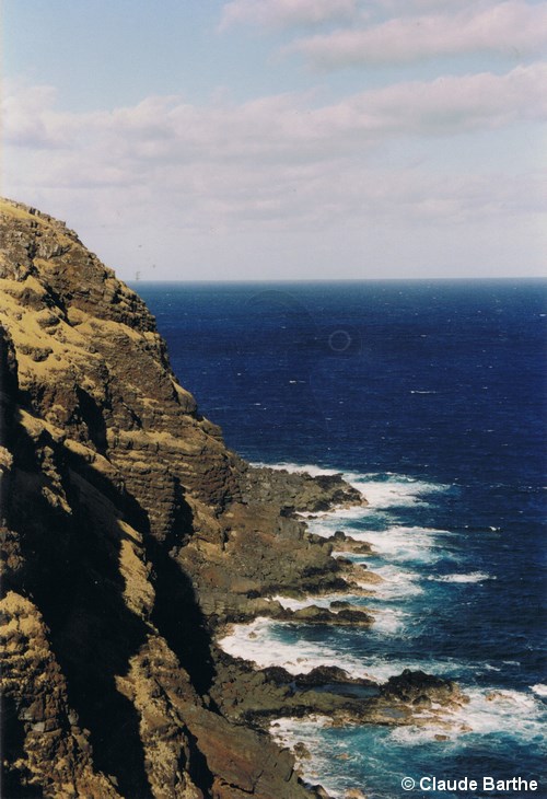 image07