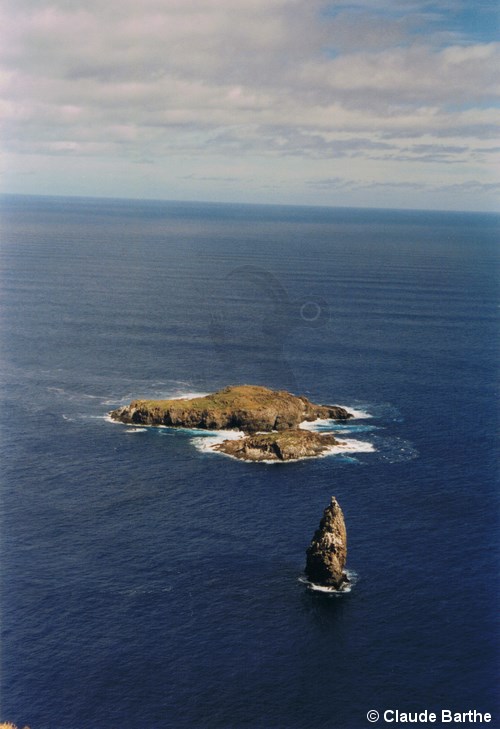 image07