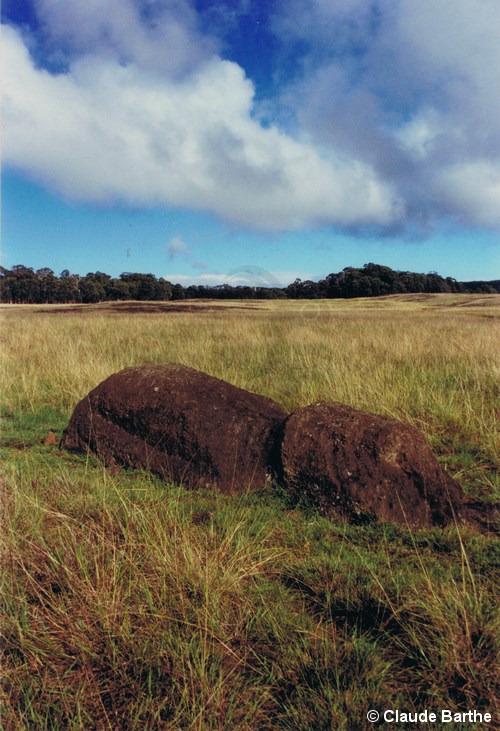 image14