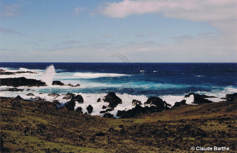 image11