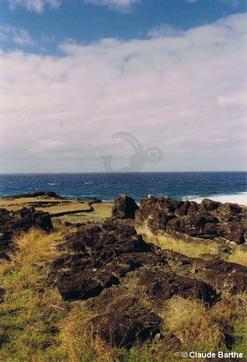 image15