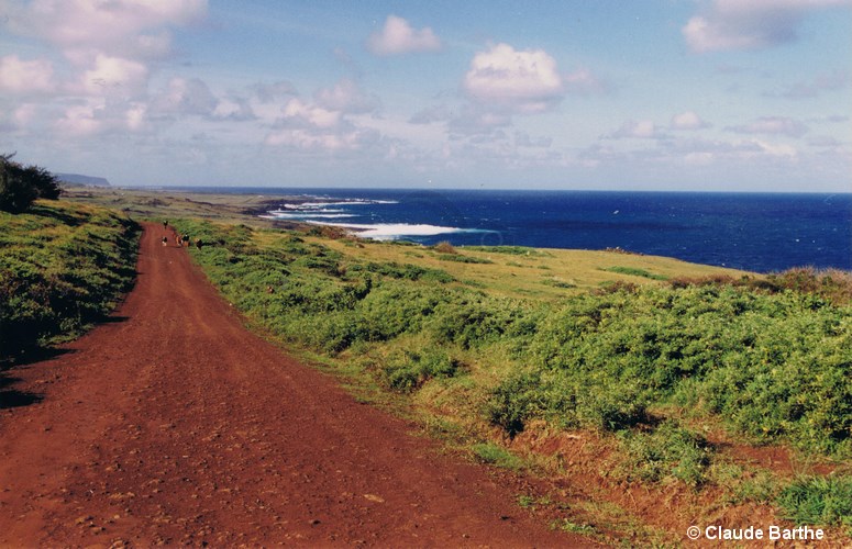 image12