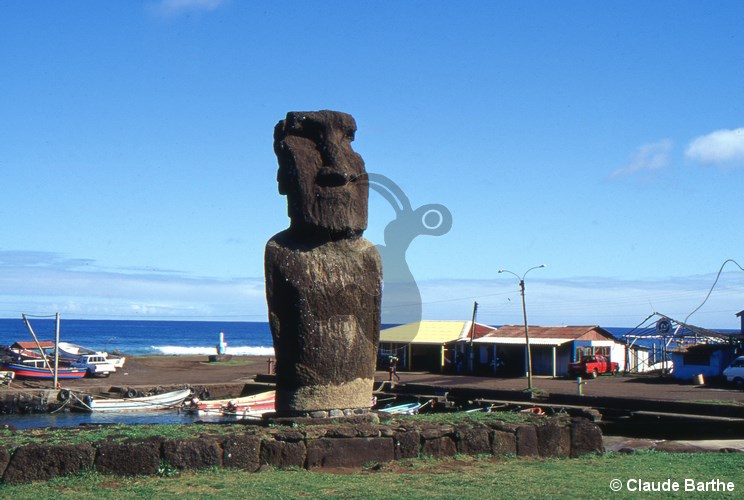 image7