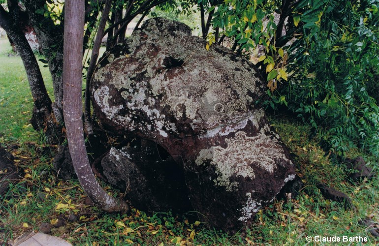image22