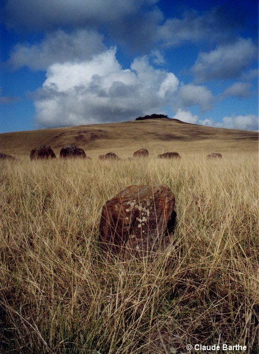 image03