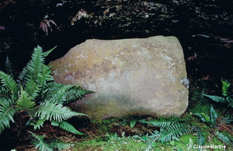 image05