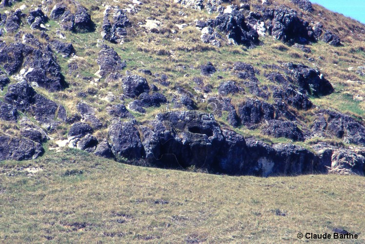 image02