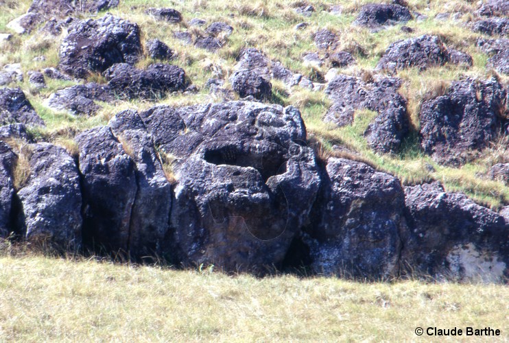 image03