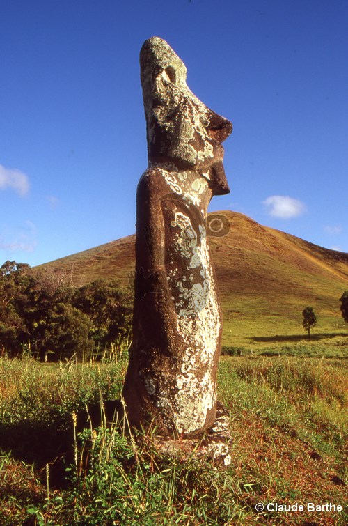image03