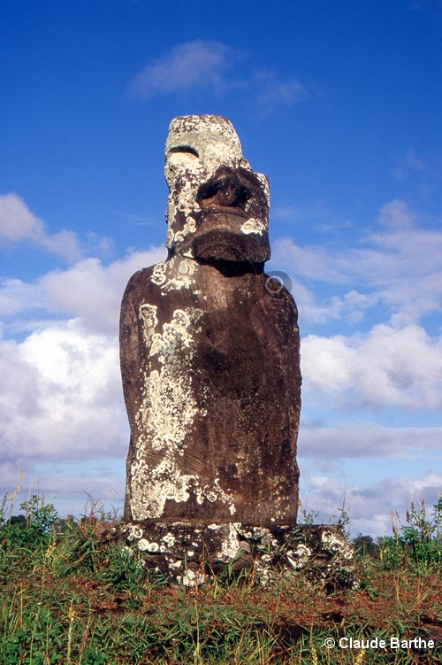 image07