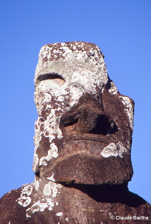 image09