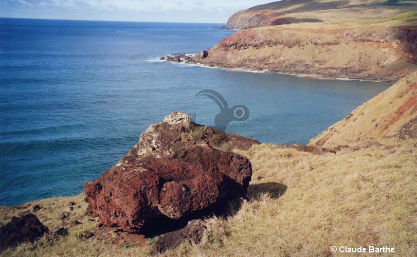 image02