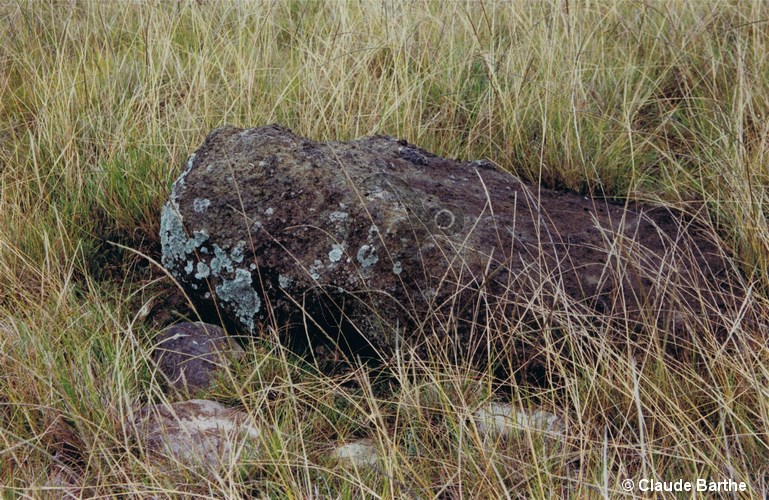 image01