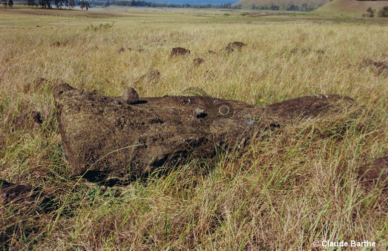 image01