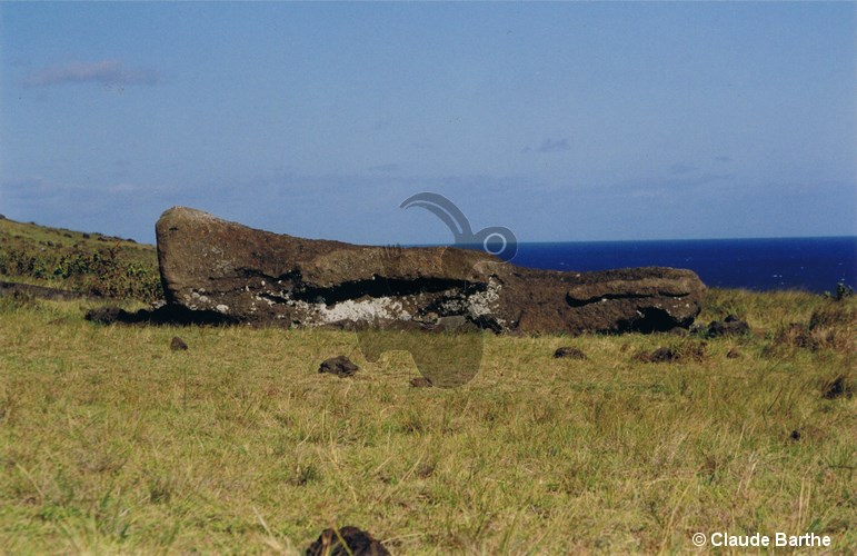 image02