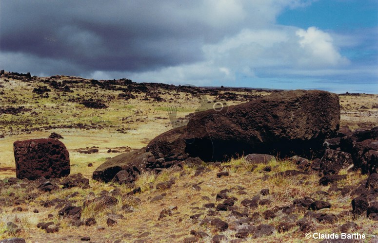 image08