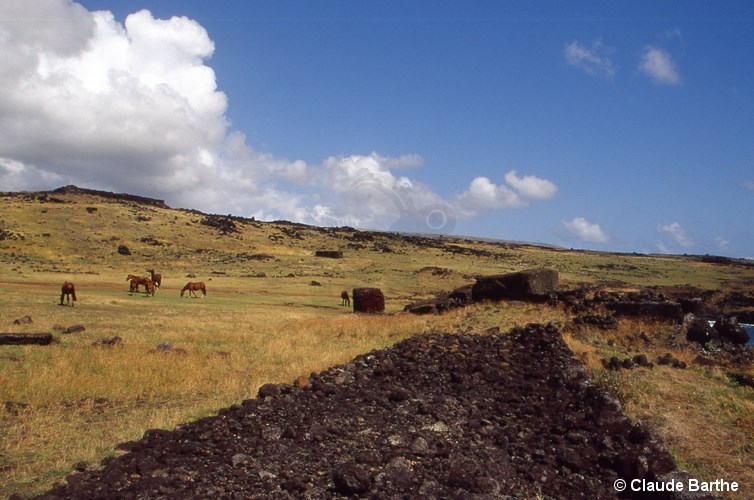 image04
