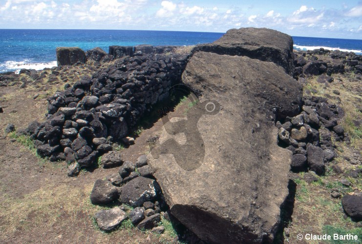 image11