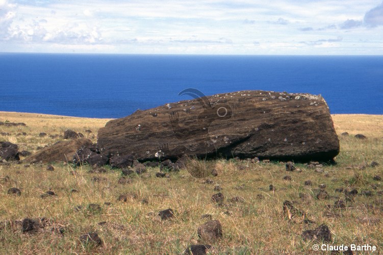 image02