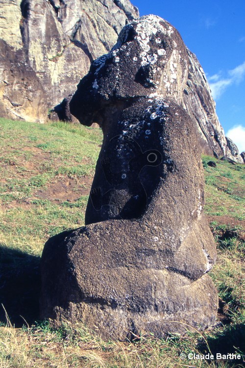 image8