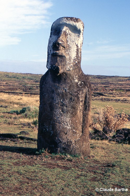 image05