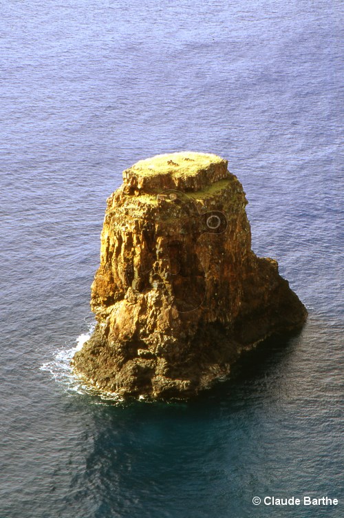 image04