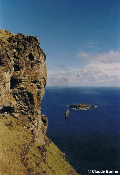 image06