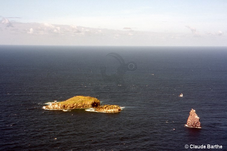 image07