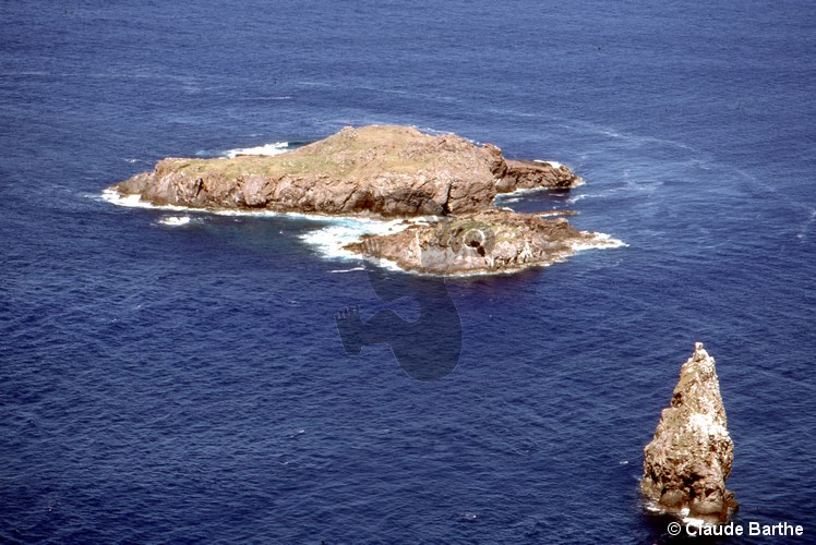 image08