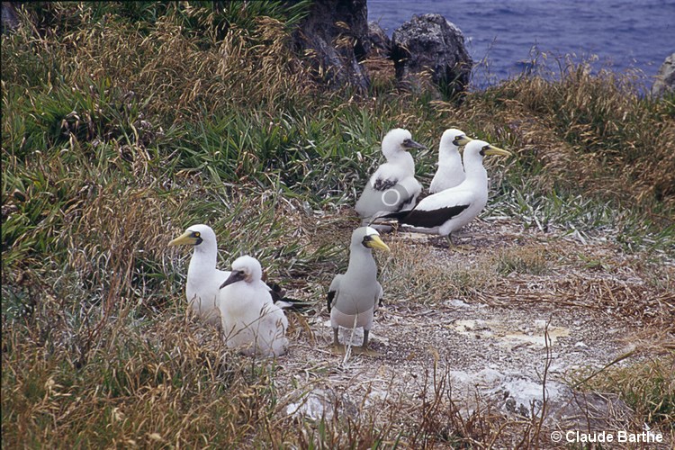 image15