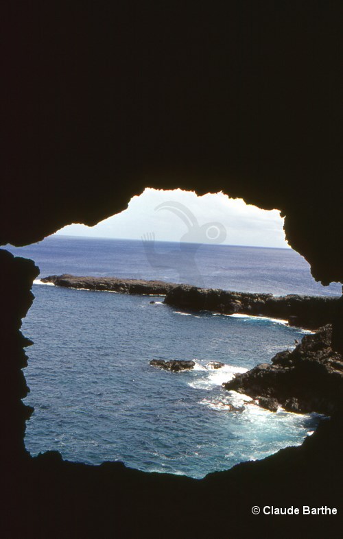 image06