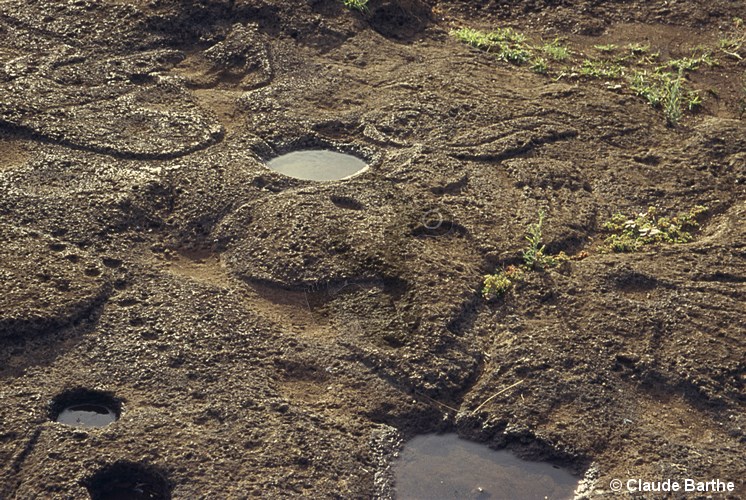 image01
