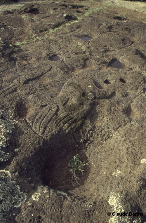 image03