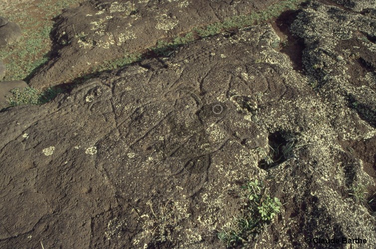 image10