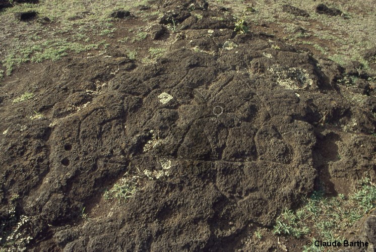 image11