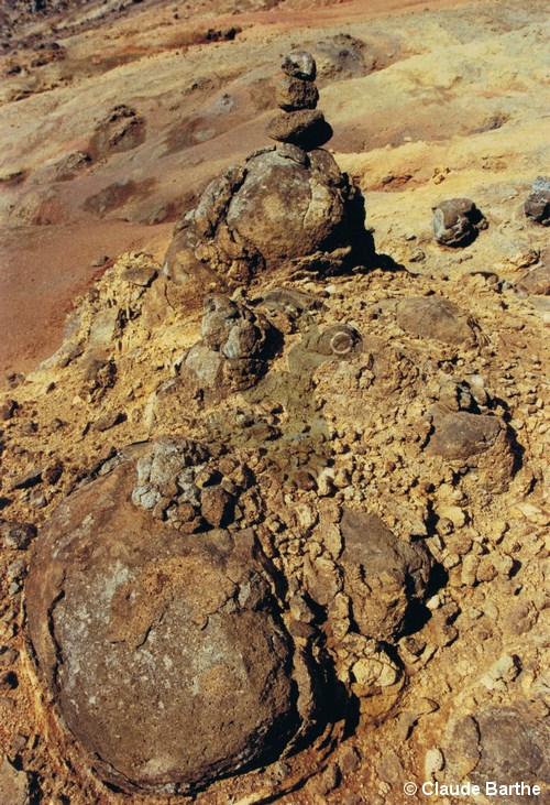 image12