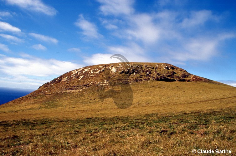 image14