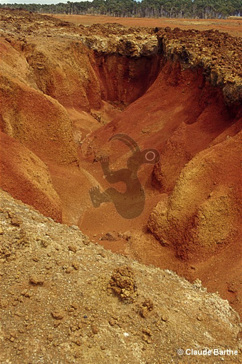 image10
